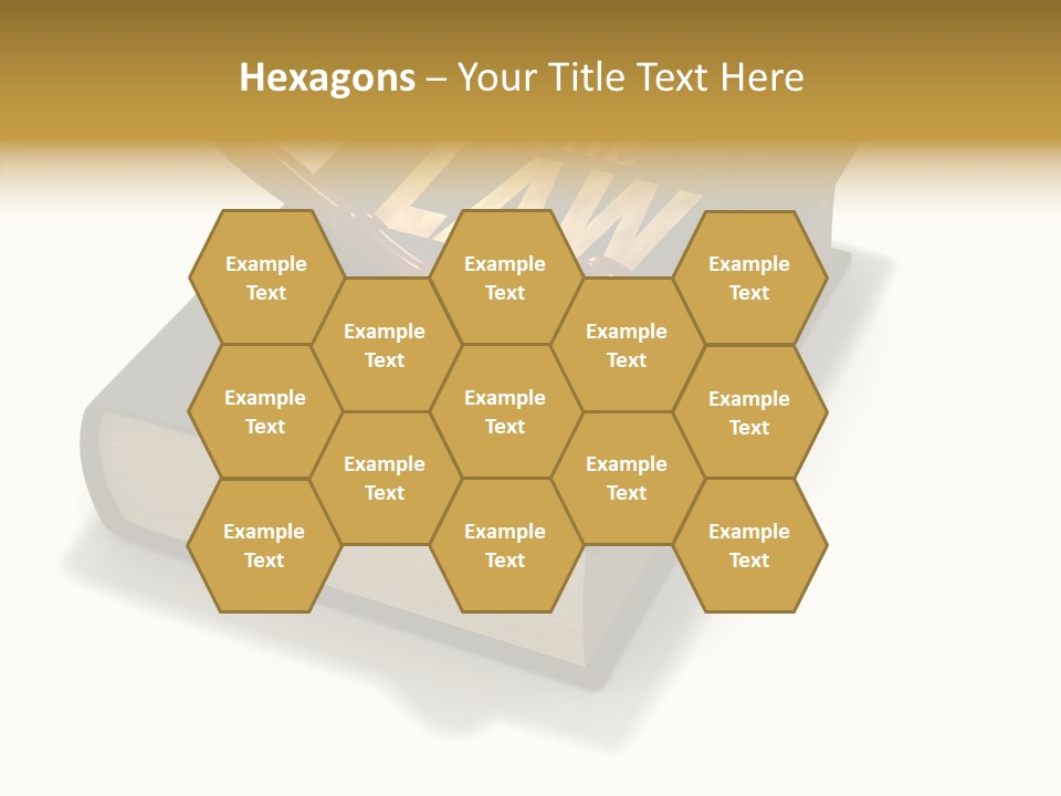 Measurement Fairness Book PowerPoint Template