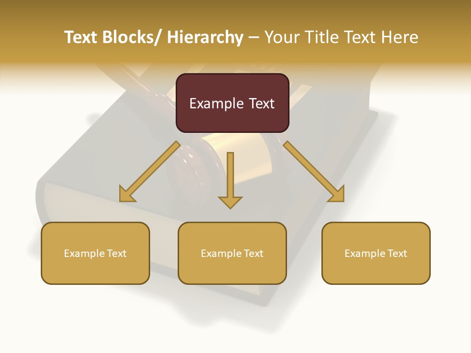 Measurement Fairness Book PowerPoint Template