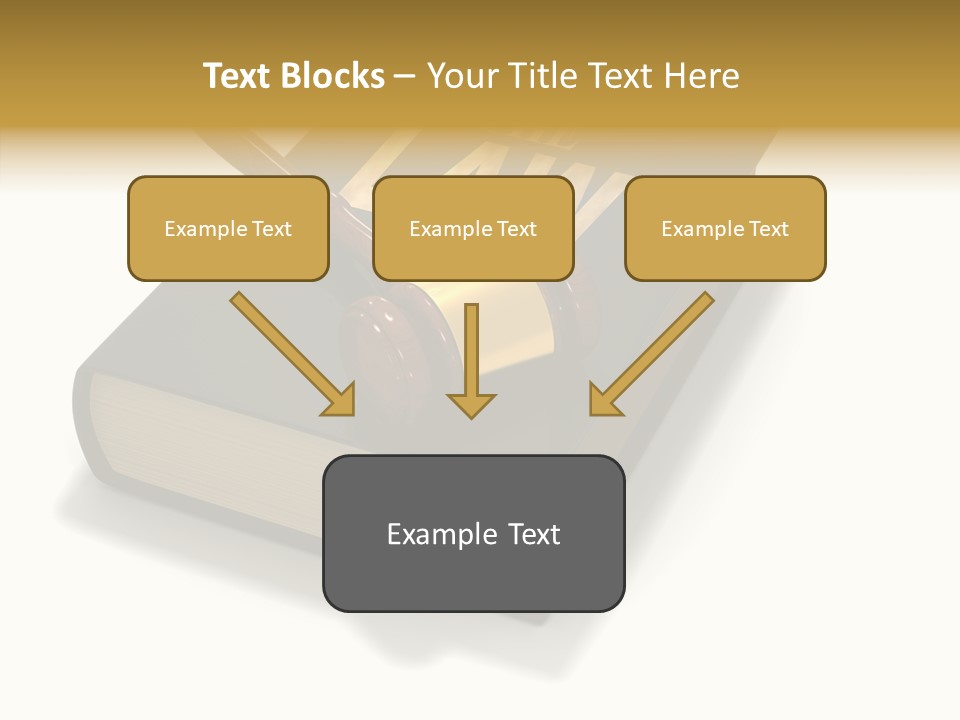 Measurement Fairness Book PowerPoint Template