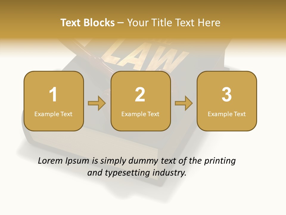 Measurement Fairness Book PowerPoint Template