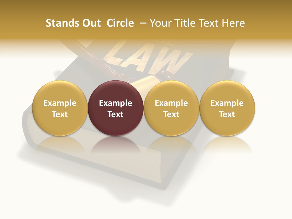 Measurement Fairness Book PowerPoint Template