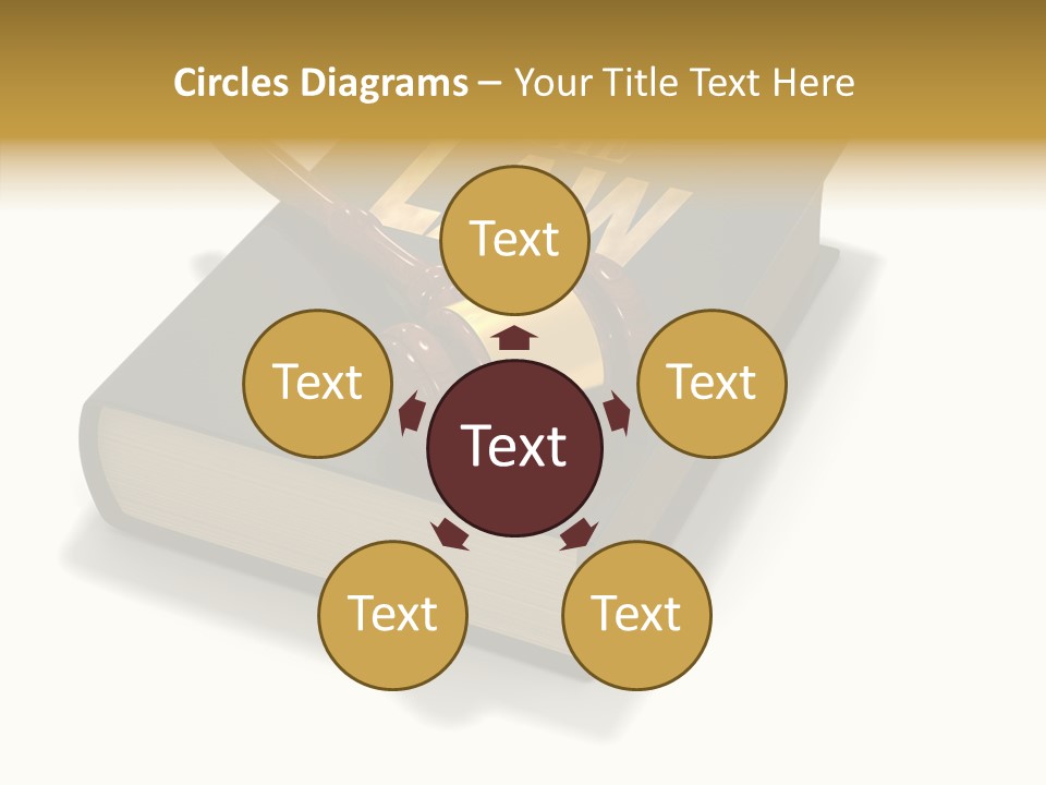 Measurement Fairness Book PowerPoint Template