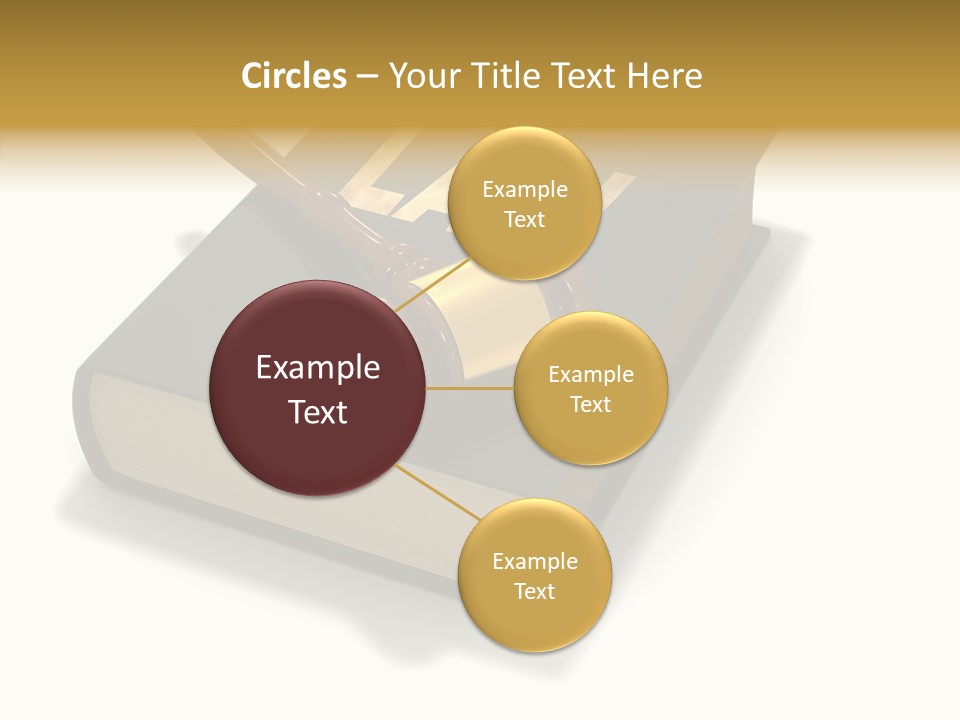 Measurement Fairness Book PowerPoint Template
