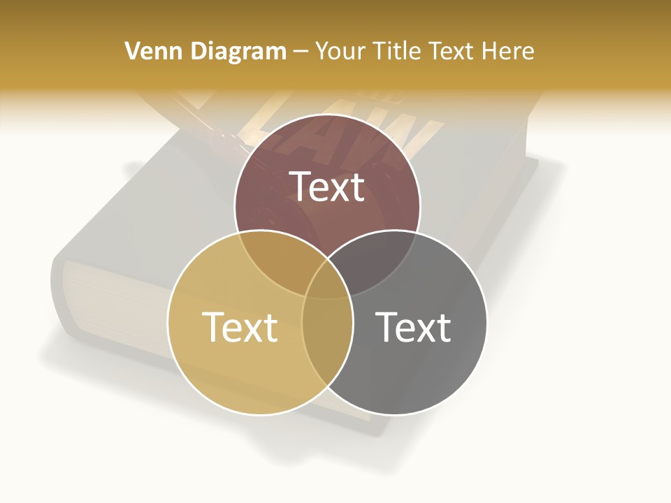 Measurement Fairness Book PowerPoint Template