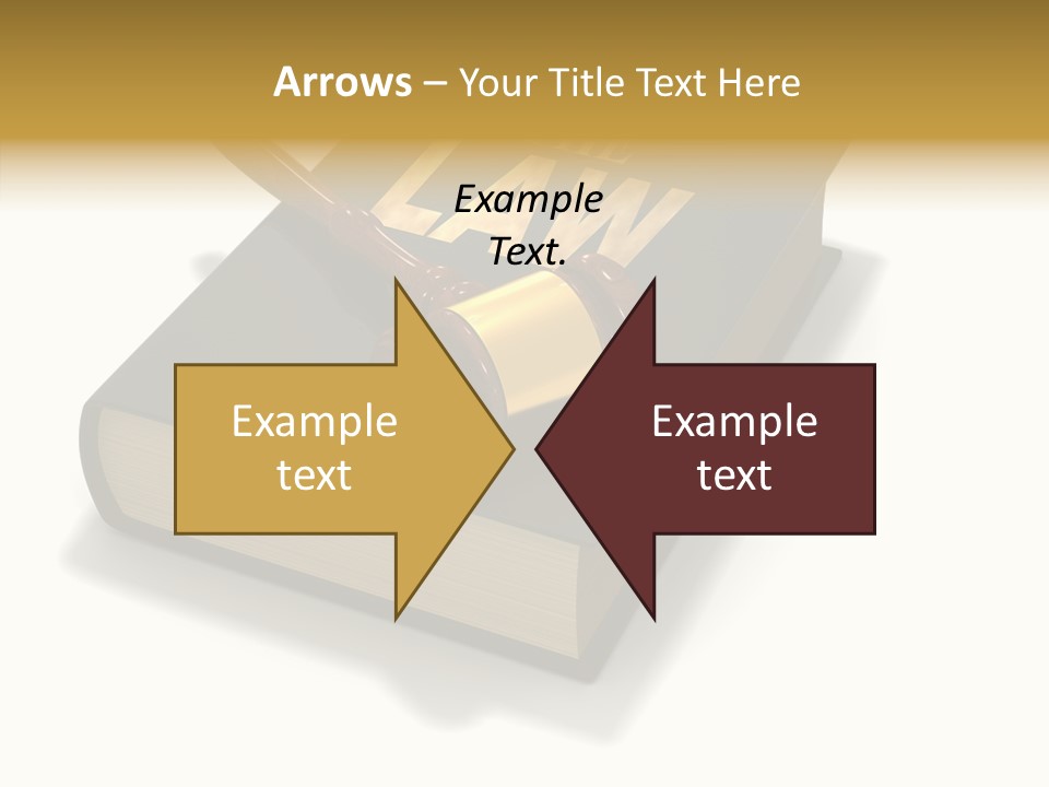Measurement Fairness Book PowerPoint Template