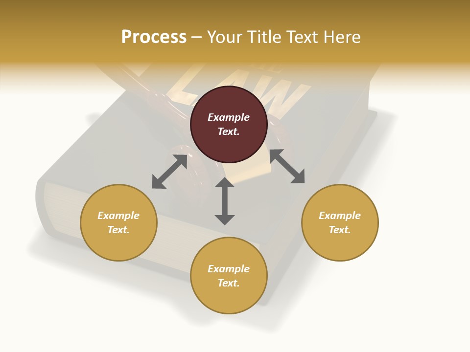 Measurement Fairness Book PowerPoint Template