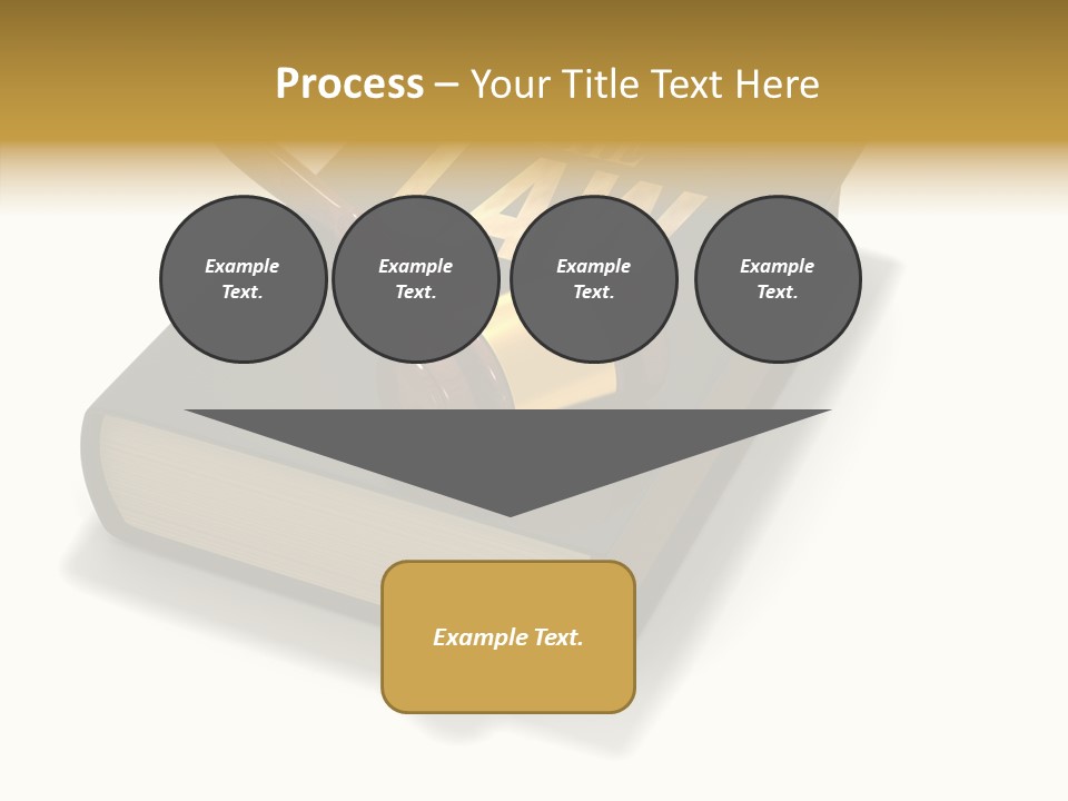 Measurement Fairness Book PowerPoint Template