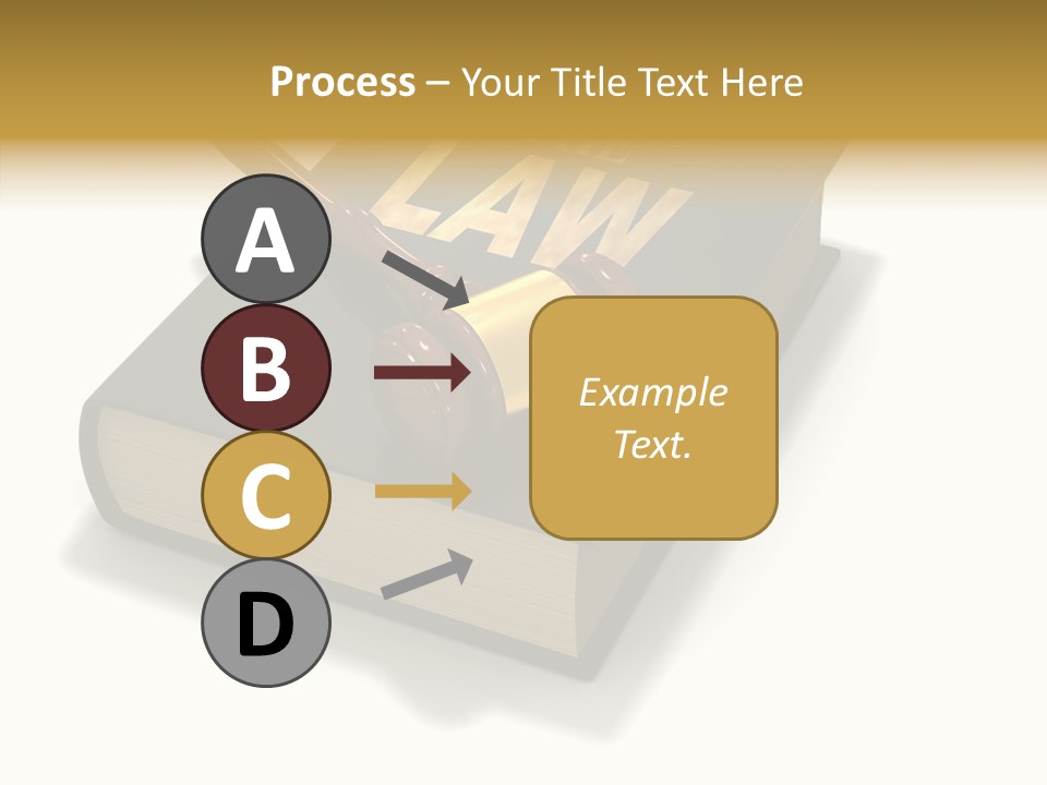 Measurement Fairness Book PowerPoint Template