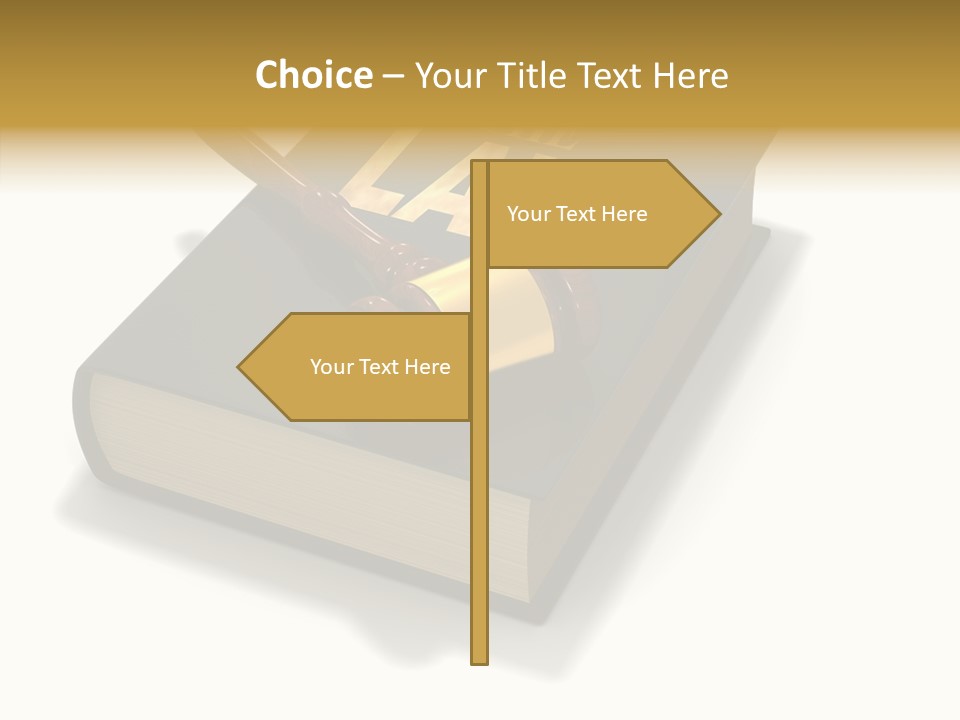 Measurement Fairness Book PowerPoint Template