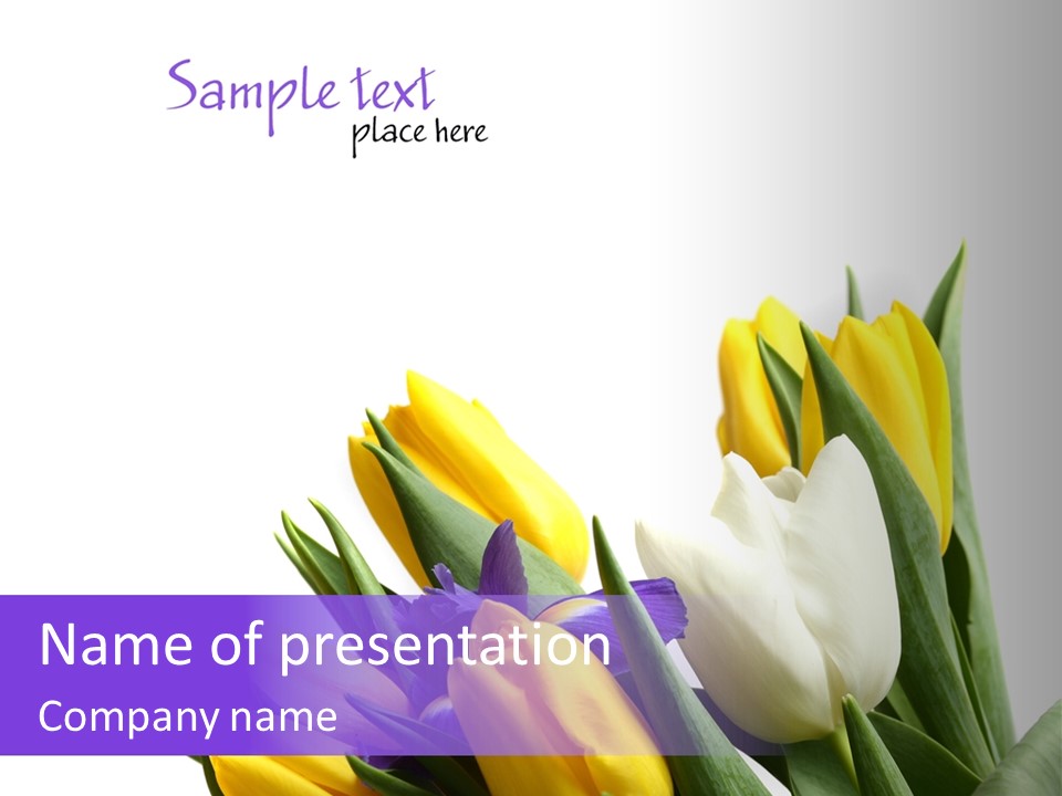 Blossom Loveliness Path PowerPoint Template