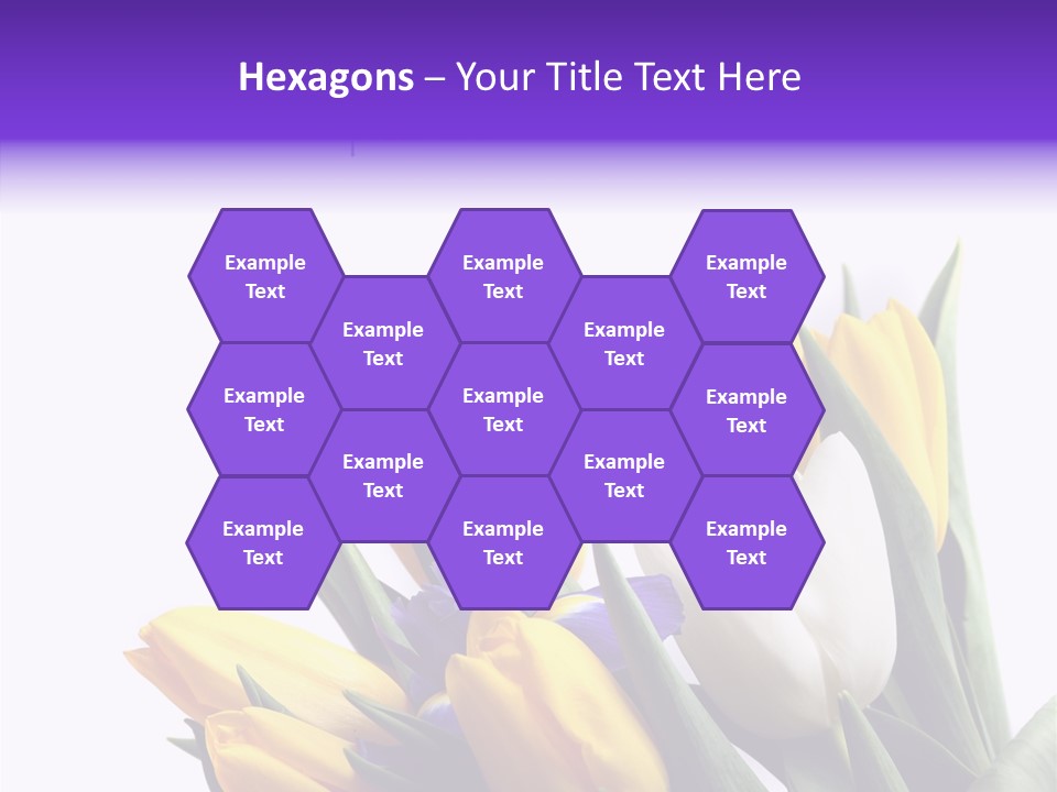 Blossom Loveliness Path PowerPoint Template