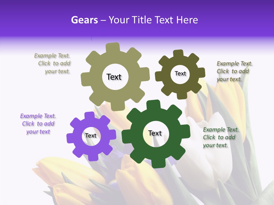 Blossom Loveliness Path PowerPoint Template