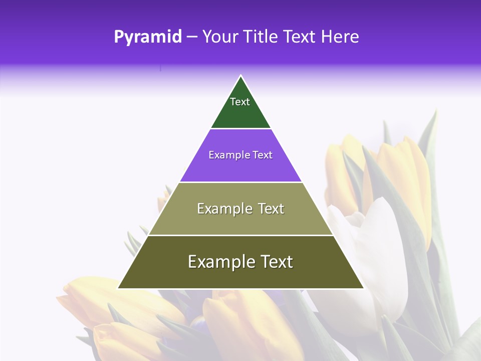 Blossom Loveliness Path PowerPoint Template