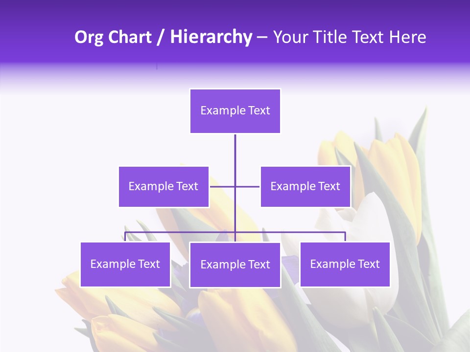Blossom Loveliness Path PowerPoint Template