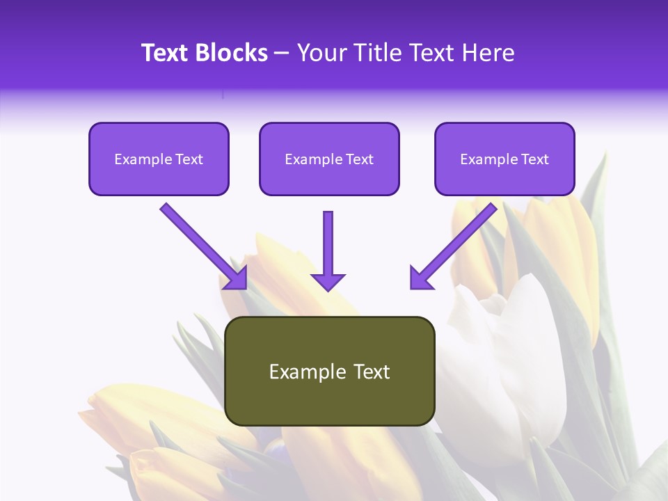 Blossom Loveliness Path PowerPoint Template