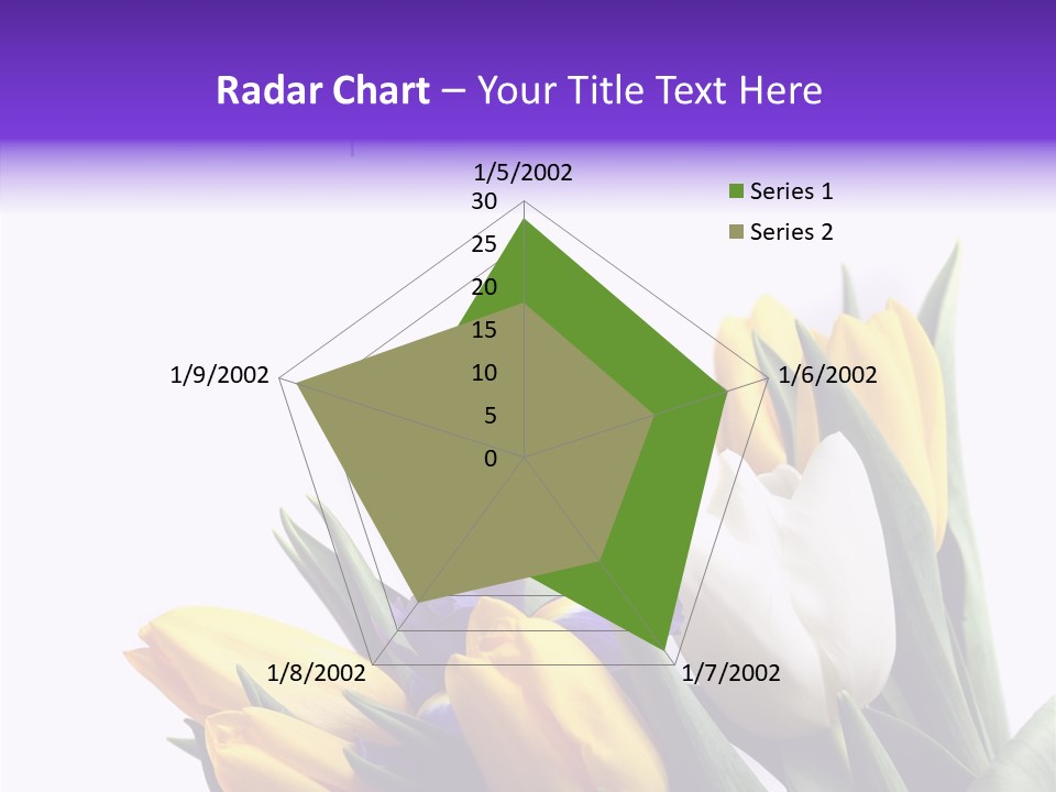 Blossom Loveliness Path PowerPoint Template