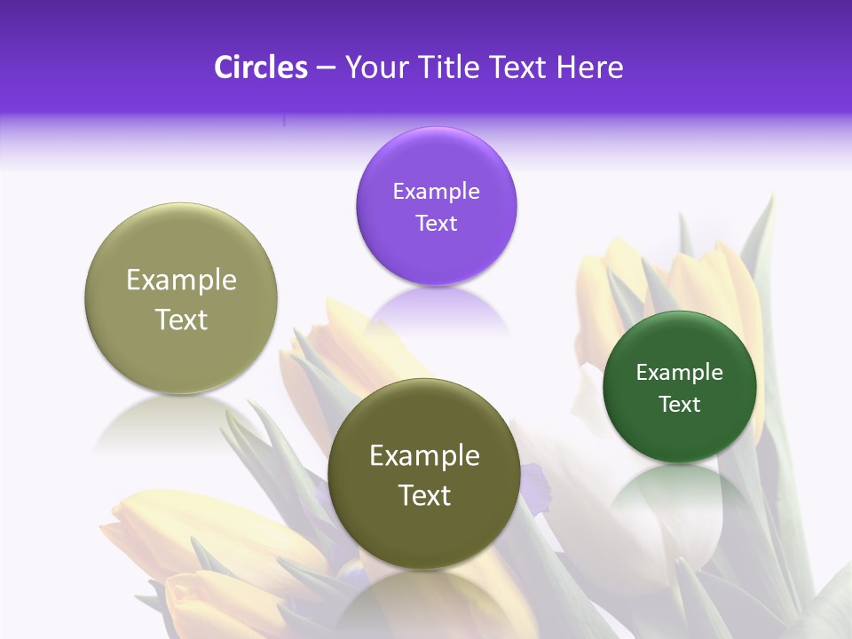 Blossom Loveliness Path PowerPoint Template