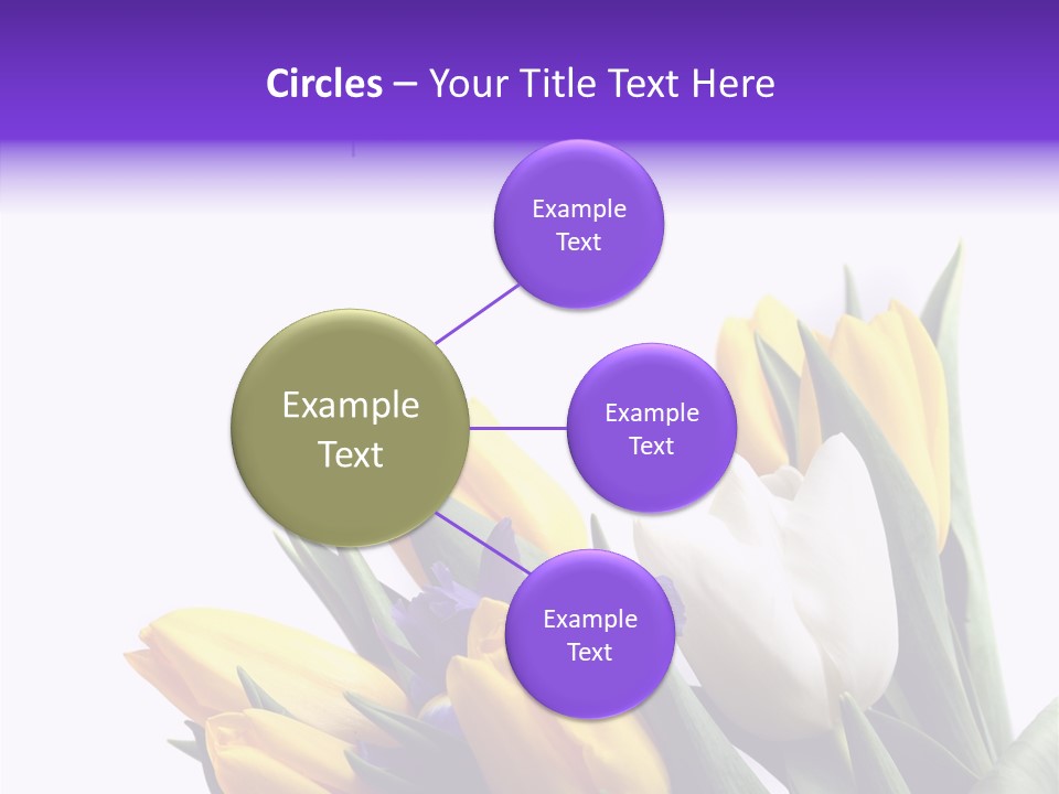 Blossom Loveliness Path PowerPoint Template