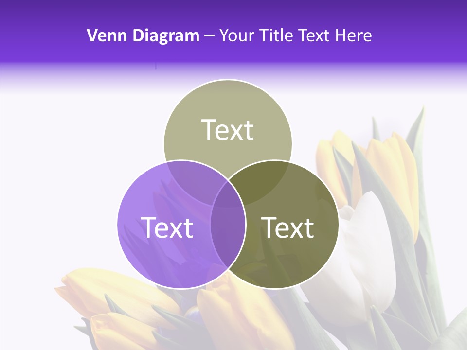 Blossom Loveliness Path PowerPoint Template