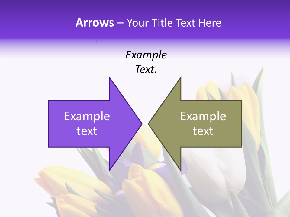 Blossom Loveliness Path PowerPoint Template