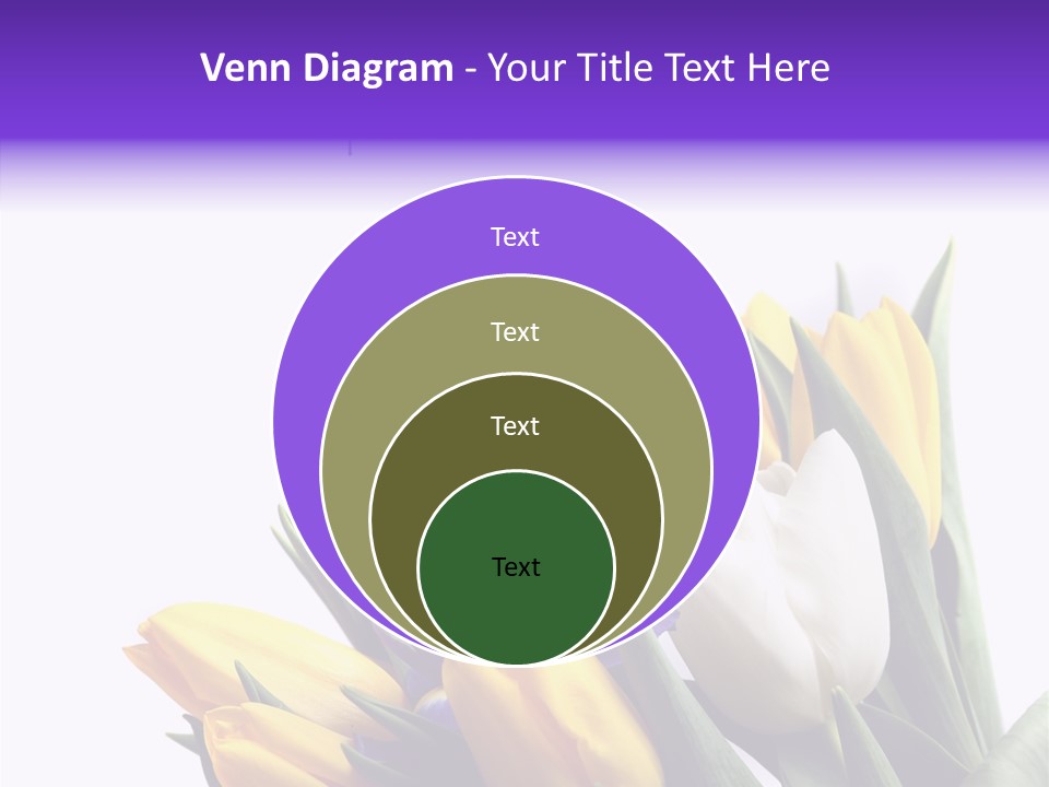 Blossom Loveliness Path PowerPoint Template