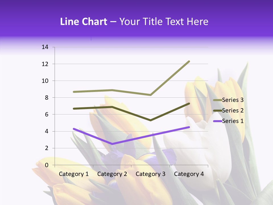 Blossom Loveliness Path PowerPoint Template