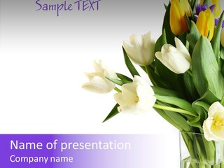 Arrangement Blossom Lovely PowerPoint Template