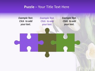 Arrangement Blossom Lovely PowerPoint Template