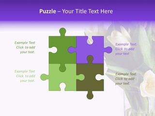 Arrangement Blossom Lovely PowerPoint Template