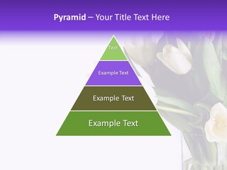 Arrangement Blossom Lovely PowerPoint Template
