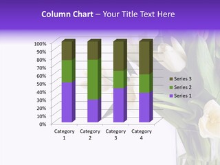 Arrangement Blossom Lovely PowerPoint Template