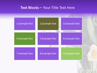 Arrangement Blossom Lovely PowerPoint Template