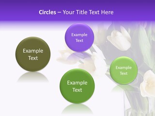 Arrangement Blossom Lovely PowerPoint Template