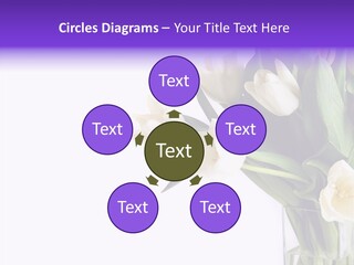 Arrangement Blossom Lovely PowerPoint Template