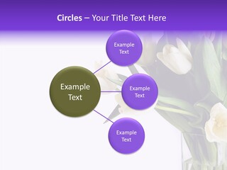 Arrangement Blossom Lovely PowerPoint Template