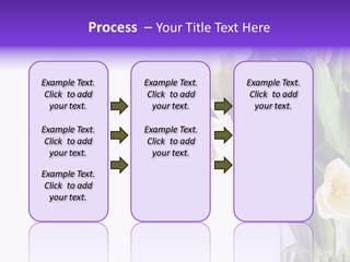 Arrangement Blossom Lovely PowerPoint Template