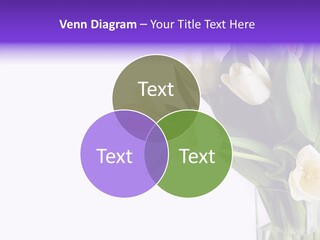Arrangement Blossom Lovely PowerPoint Template