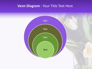 Arrangement Blossom Lovely PowerPoint Template