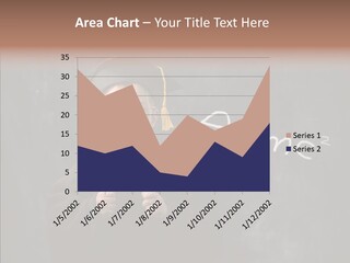 Learning Hat Education PowerPoint Template