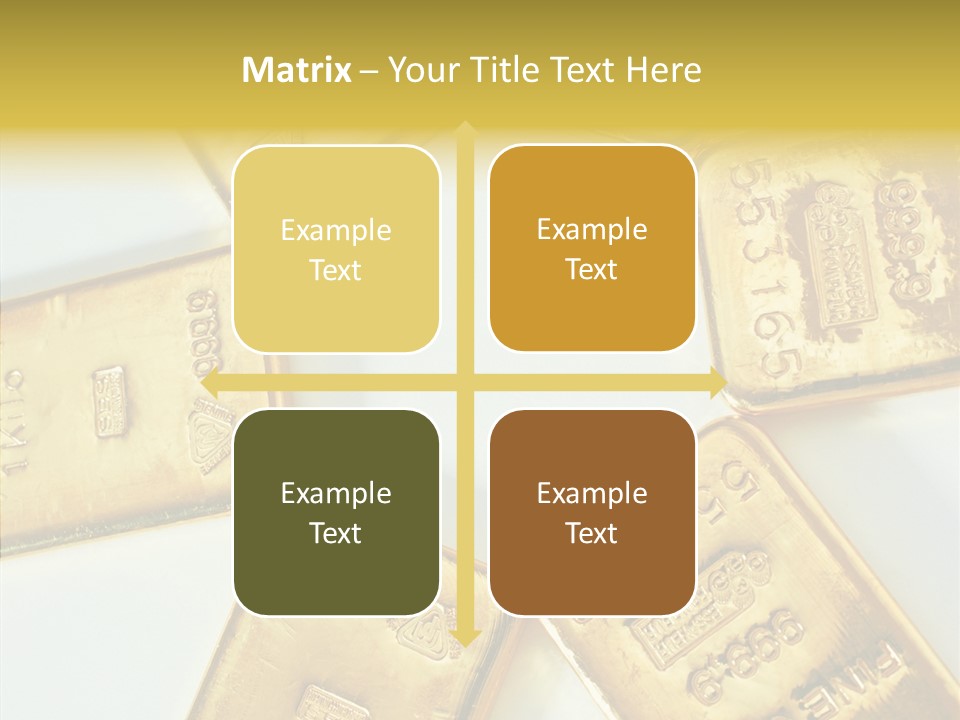 Photography Hires Gold Biscuits PowerPoint Template