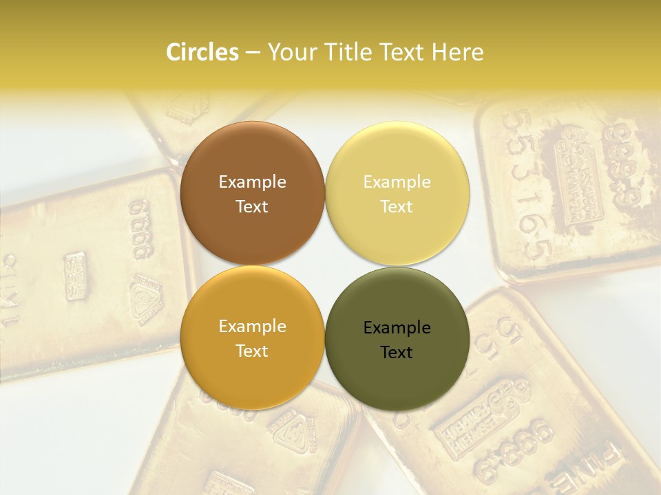 Photography Hires Gold Biscuits PowerPoint Template
