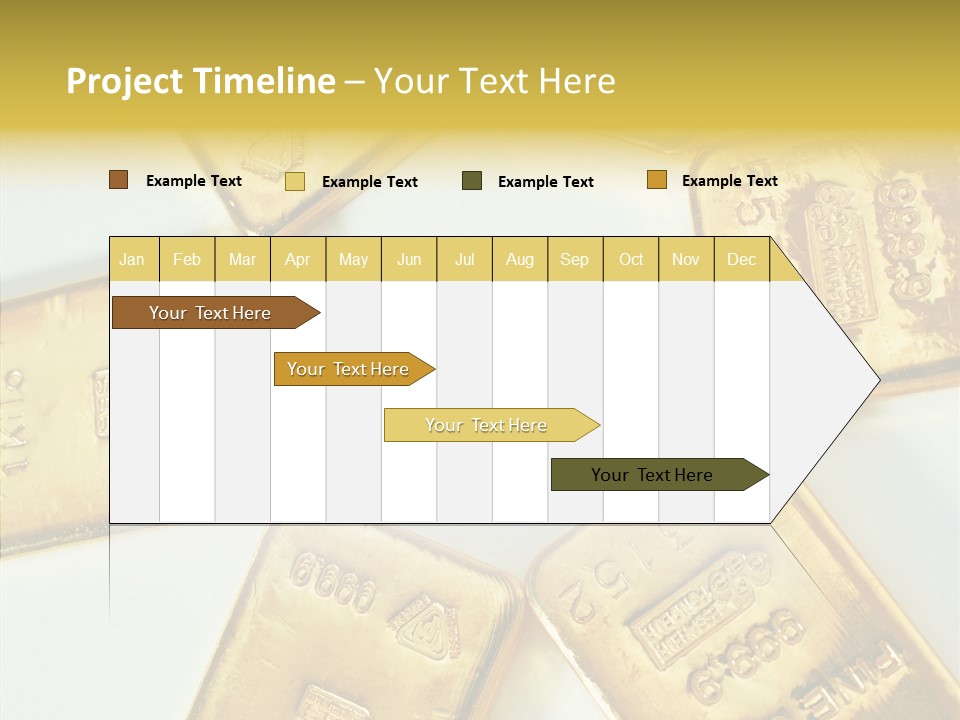 Photography Hires Gold Biscuits PowerPoint Template