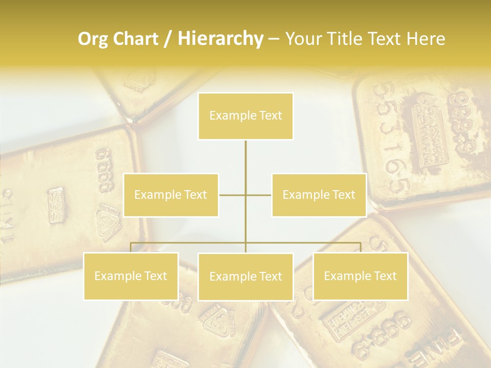 Photography Hires Gold Biscuits PowerPoint Template