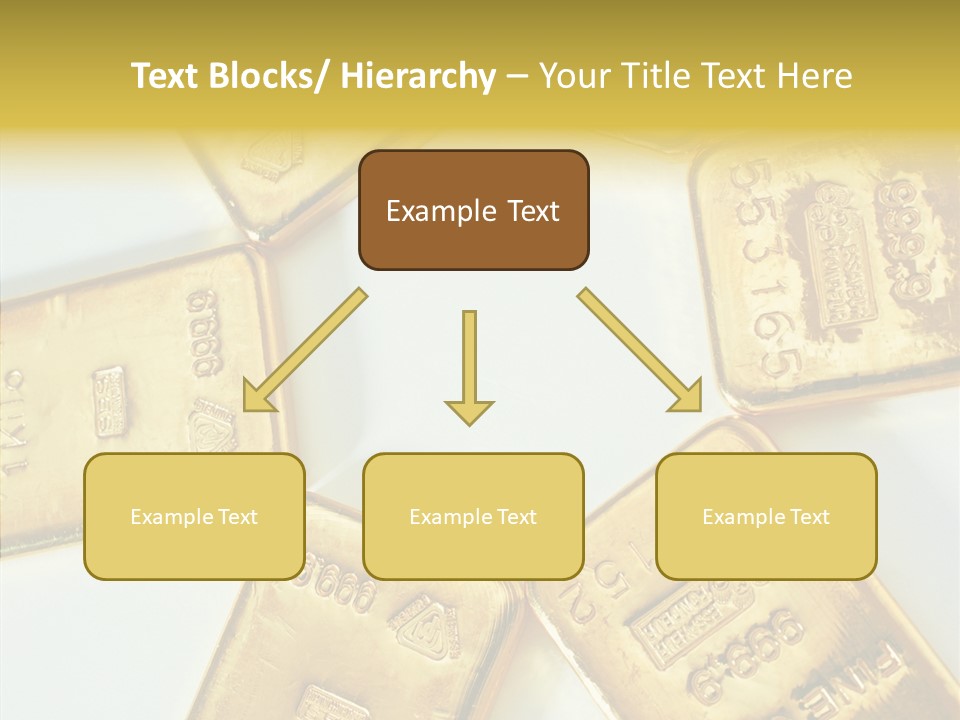 Photography Hires Gold Biscuits PowerPoint Template