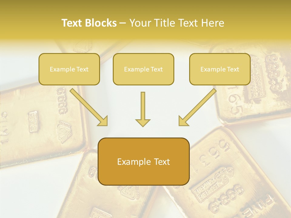 Photography Hires Gold Biscuits PowerPoint Template