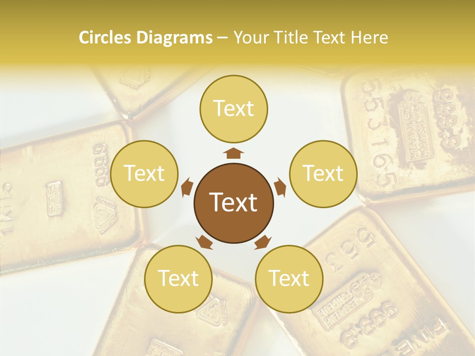 Photography Hires Gold Biscuits PowerPoint Template