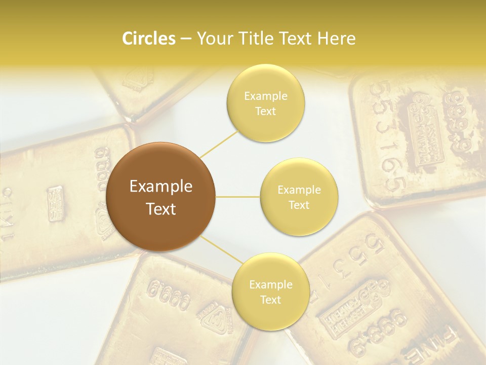 Photography Hires Gold Biscuits PowerPoint Template