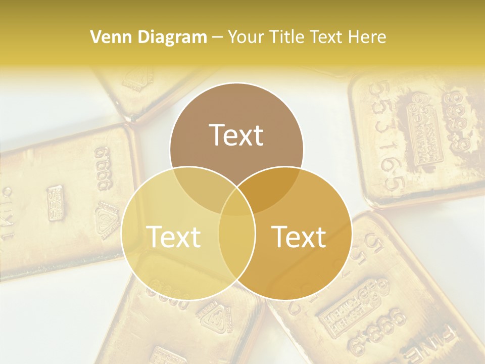 Photography Hires Gold Biscuits PowerPoint Template