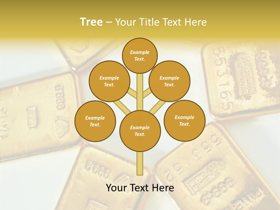 Photography Hires Gold Biscuits PowerPoint Template