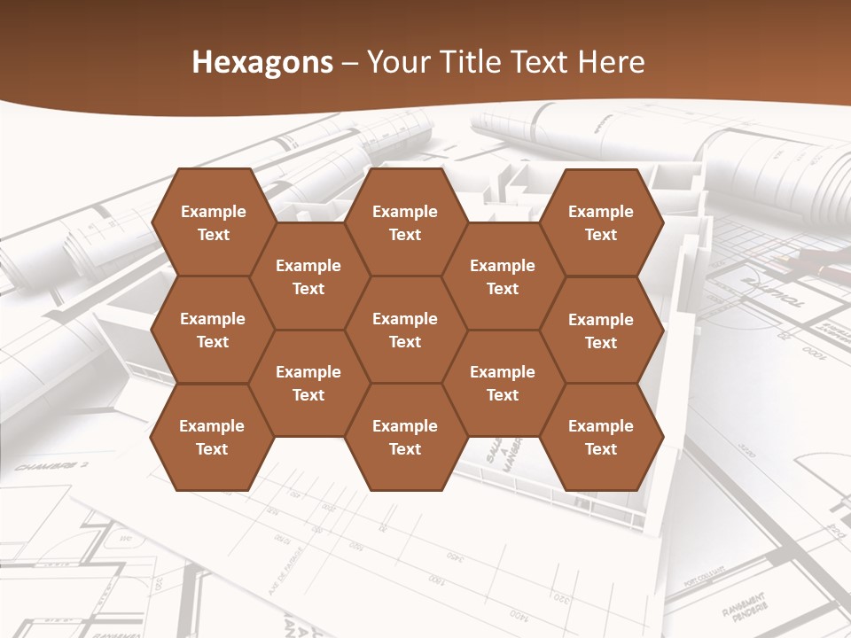 Chalet Family Asylum PowerPoint Template